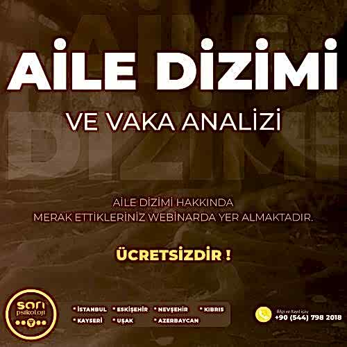 Aile Dizimi